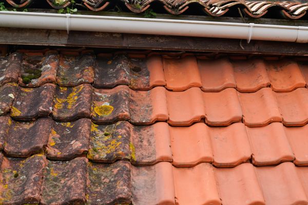 Industrial Roof Cleaning in Federal Way